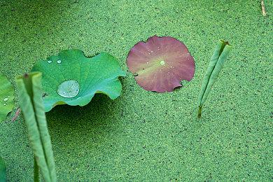 《虚拟★欢乐天地》Steam上线 恋爱惊悚冒险